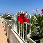 Hotel Mediterranean Boutique