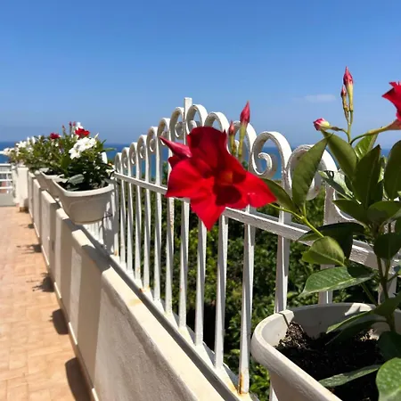 Hotell Mediterranean Boutique