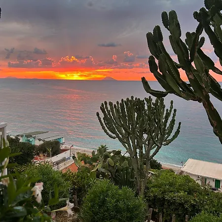 Hotel Mediterranean Boutique