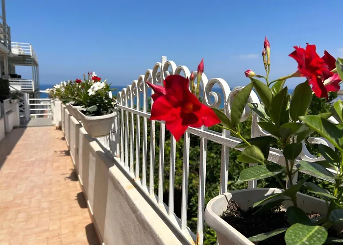 Hotel Mediterranean Boutique