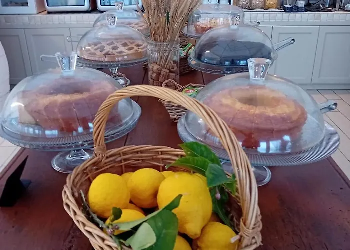 Mediterranean Boutique 酒店 特罗佩阿